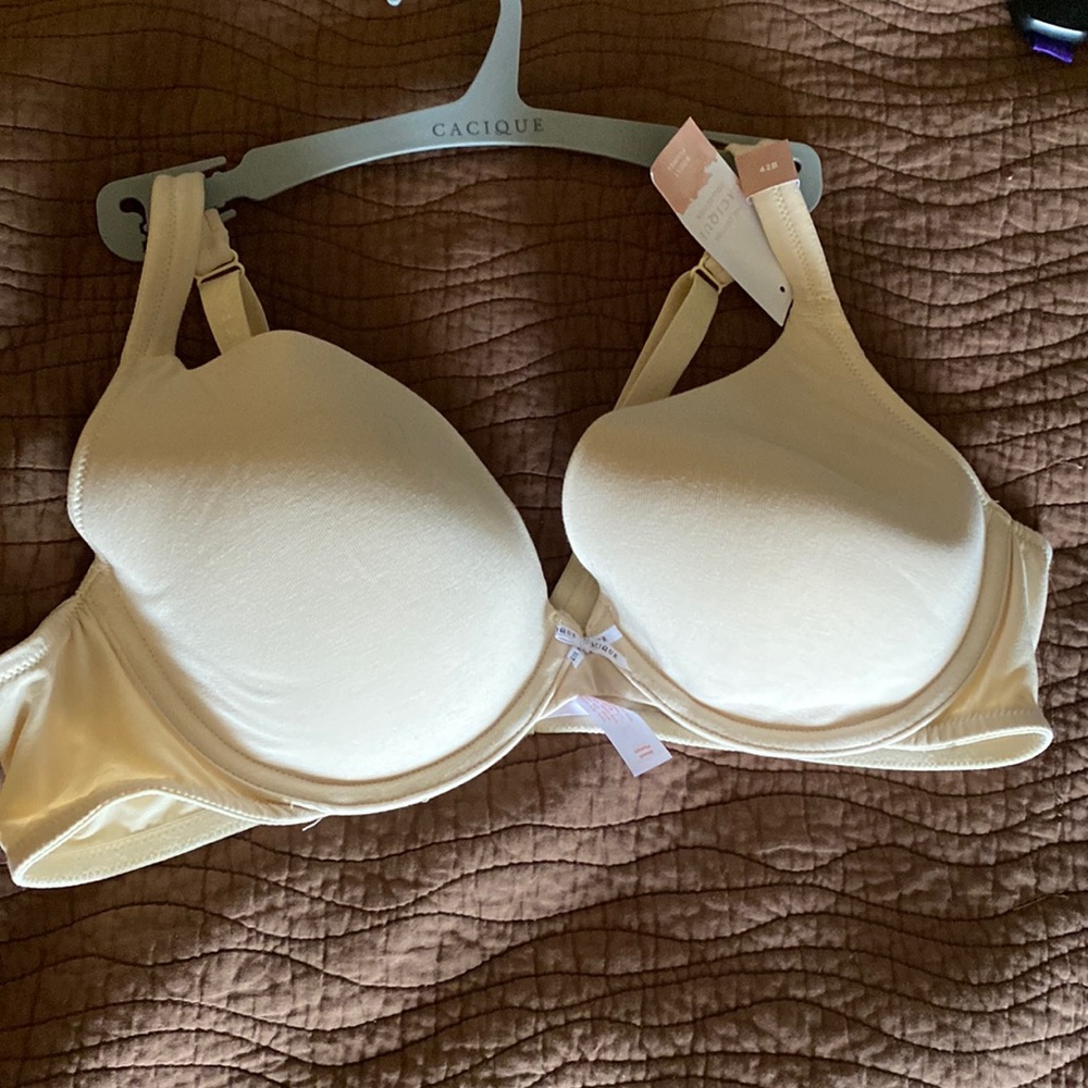 Cacique boost plunge bra